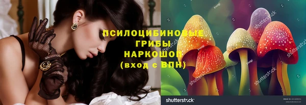 apvp Алзамай