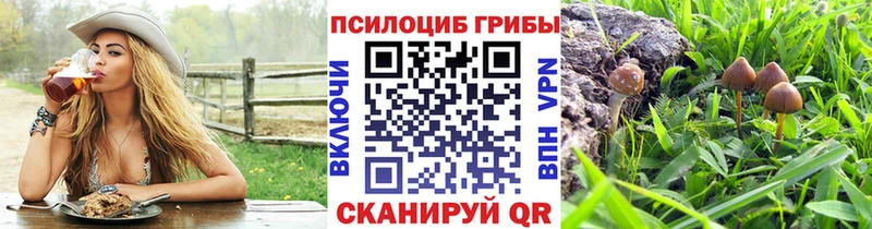 Псилоцибиновые грибы Magic Shrooms  Елец 